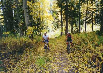 Mountain Biking in Fall