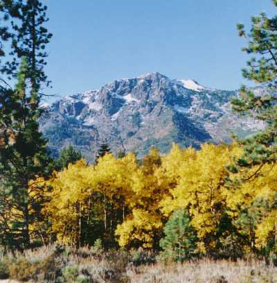 Mt. Tallac in Fall