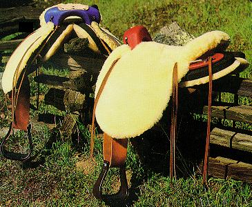 BOZ Training Saddle (42k)