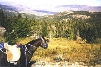 Gabe on Tahoe Rim Trail overlooking Washoe Valley