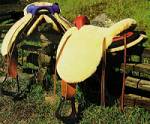 BOZ Training Saddle
