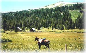 Meiss Meadows with Cabin