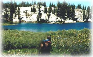 Showers Lake